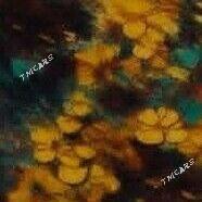 Gulyupek - Ашхабад - img 1