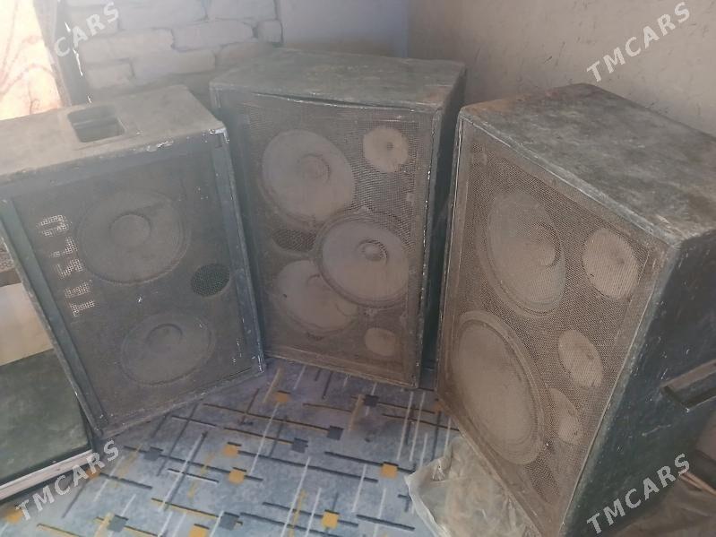 kaionka usilitel - Гурбансолтан Едже - img 1