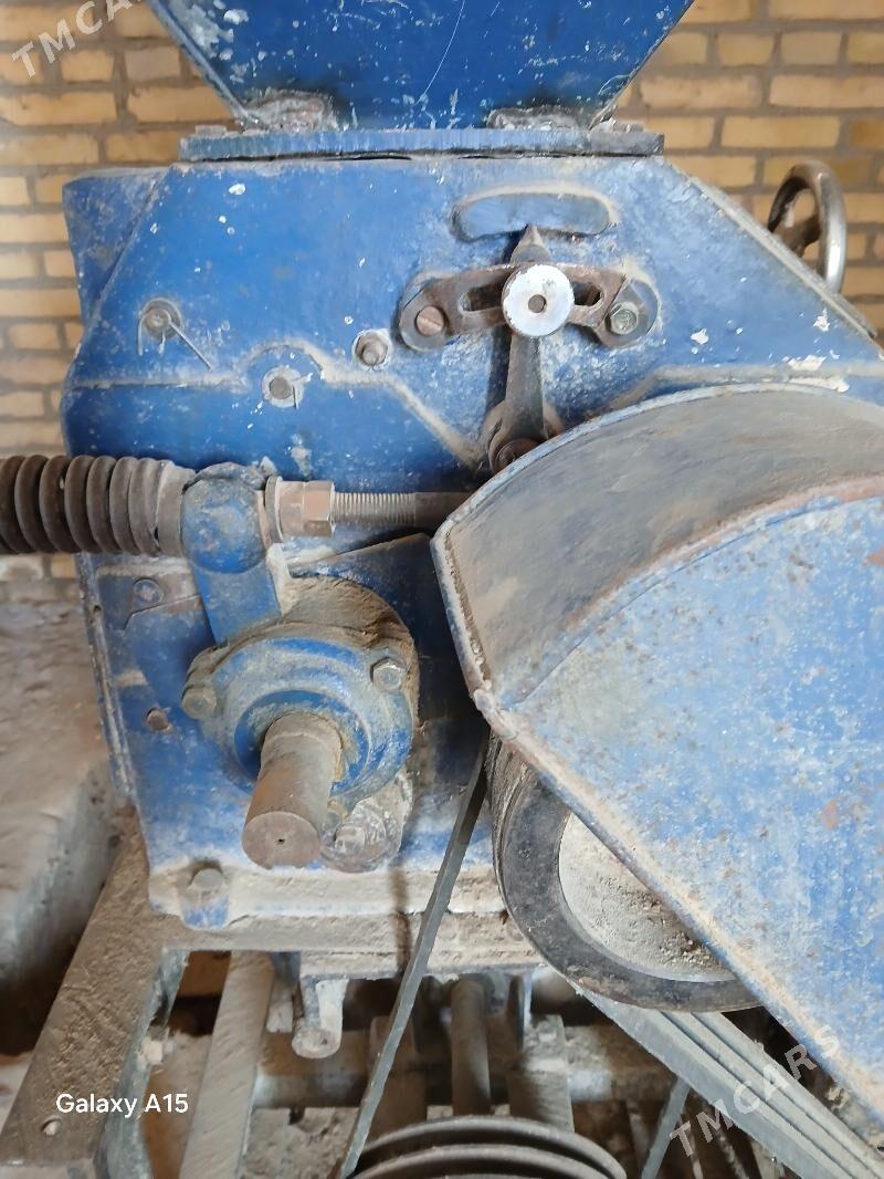 Degirmen - Halaç - img 1