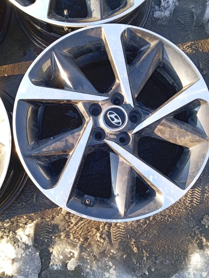 Dysga Hundaý Morda 19 7 000 TMT - Bedew - img 1