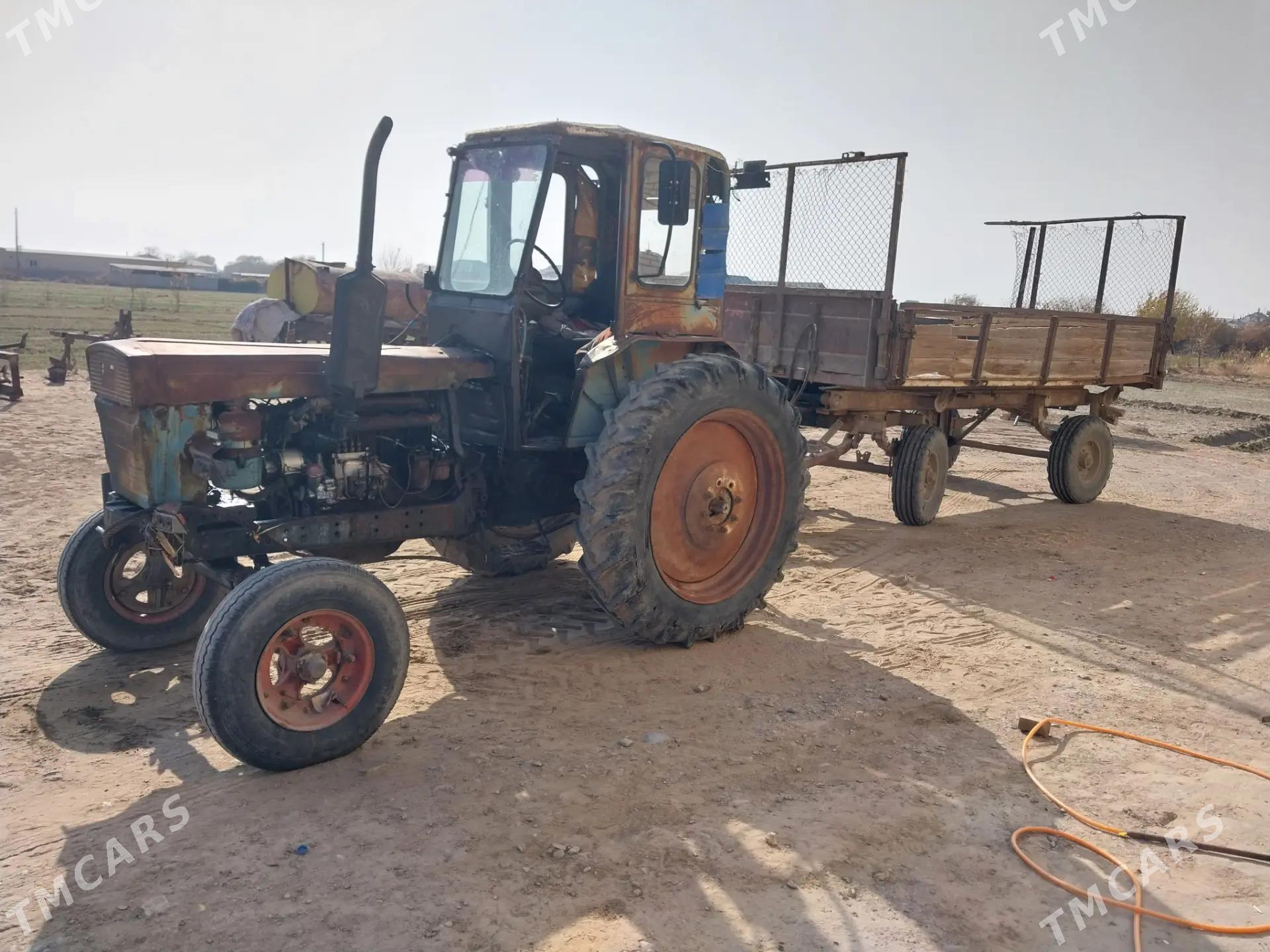 MTZ 80 2000 - 64 000 TMT - Mary - img 1