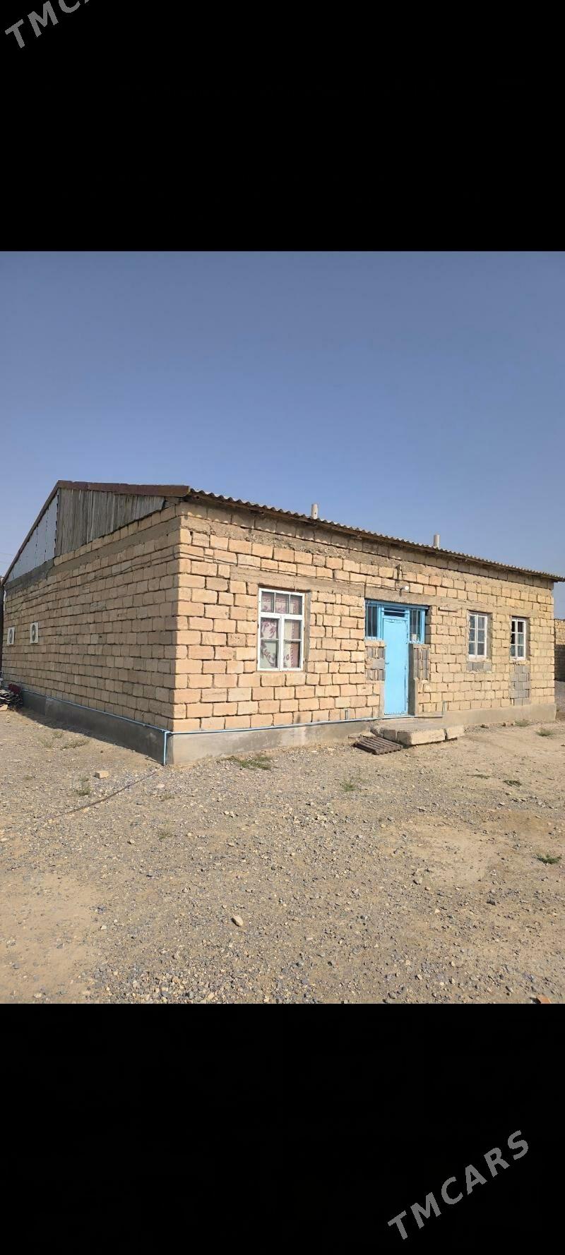 jaý - Gyzylarbat - img 1