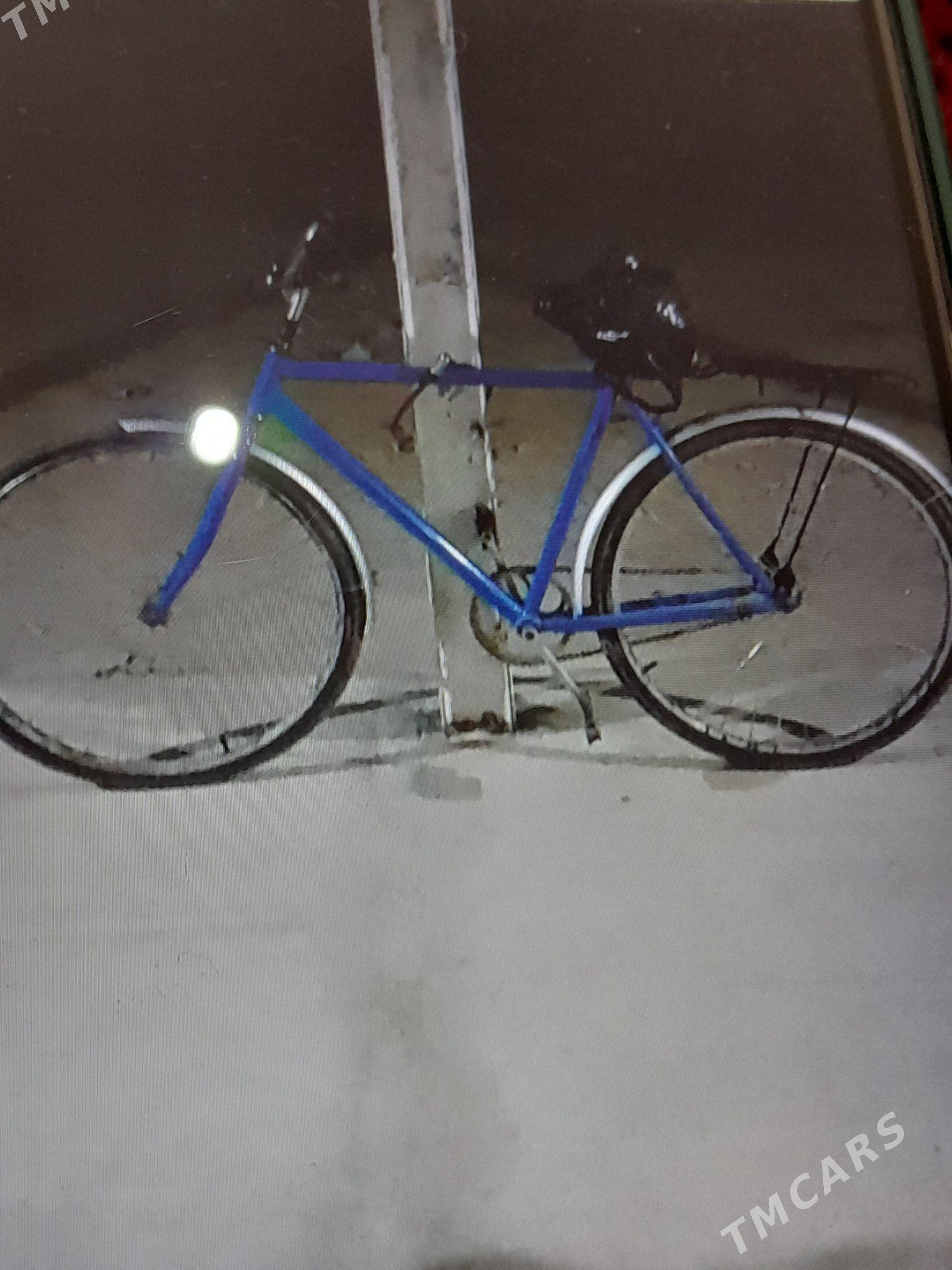 tigir - Ак-Бугдайский этрап - img 1