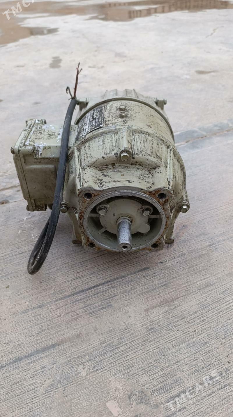 Mator dwijok - Чоганлы - img 1