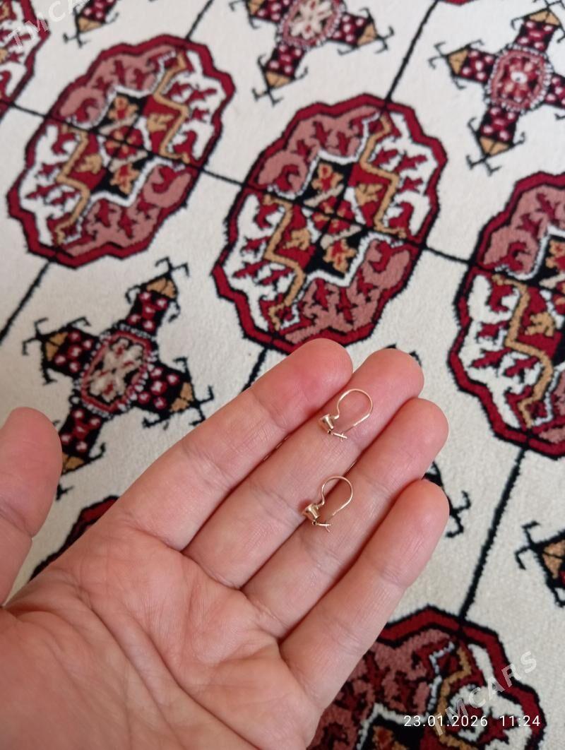 gyzyl gulakhalka caga - Кëши - img 1