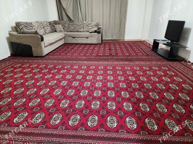 gurtly 2kom eyesinden - Gurtly - img 1