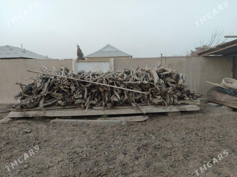 Ojar - Сакарчага - img 1