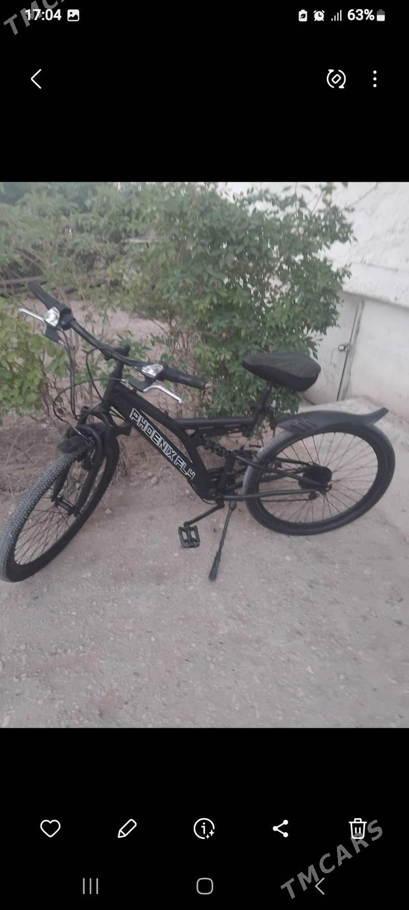 Велсопед - Балканабат - img 1