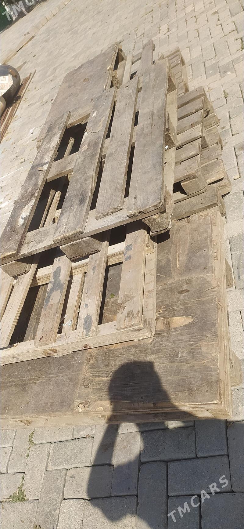 Agaç Paddon. - Туркменбаши - img 1