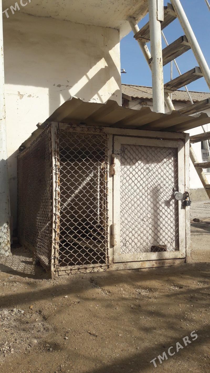 ketek - Balkanabat - img 1