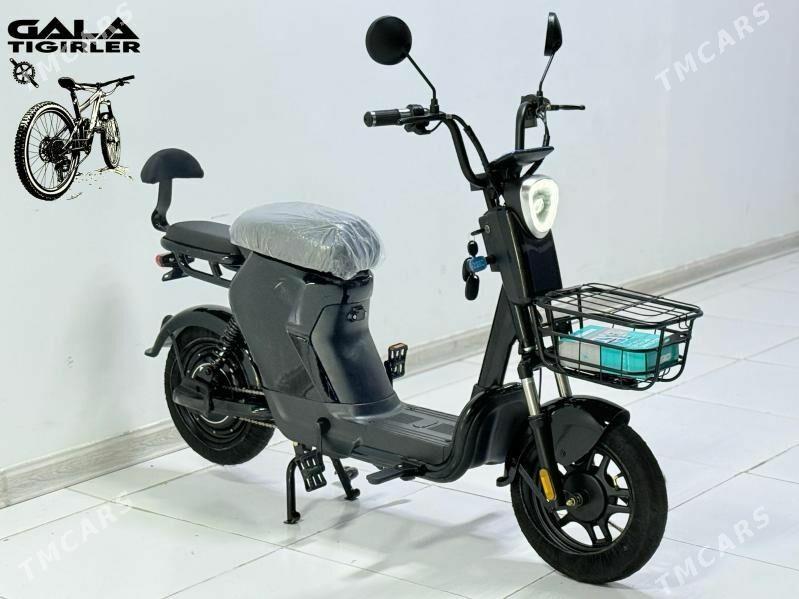 Tokly Weloseped - Бахарден - img 1