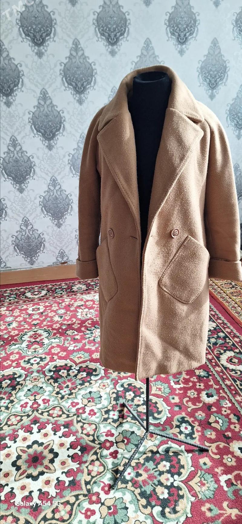 palto - Boldumsaz - img 1