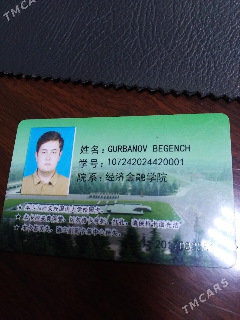 Studenceski tapyldy - Mary - img 1