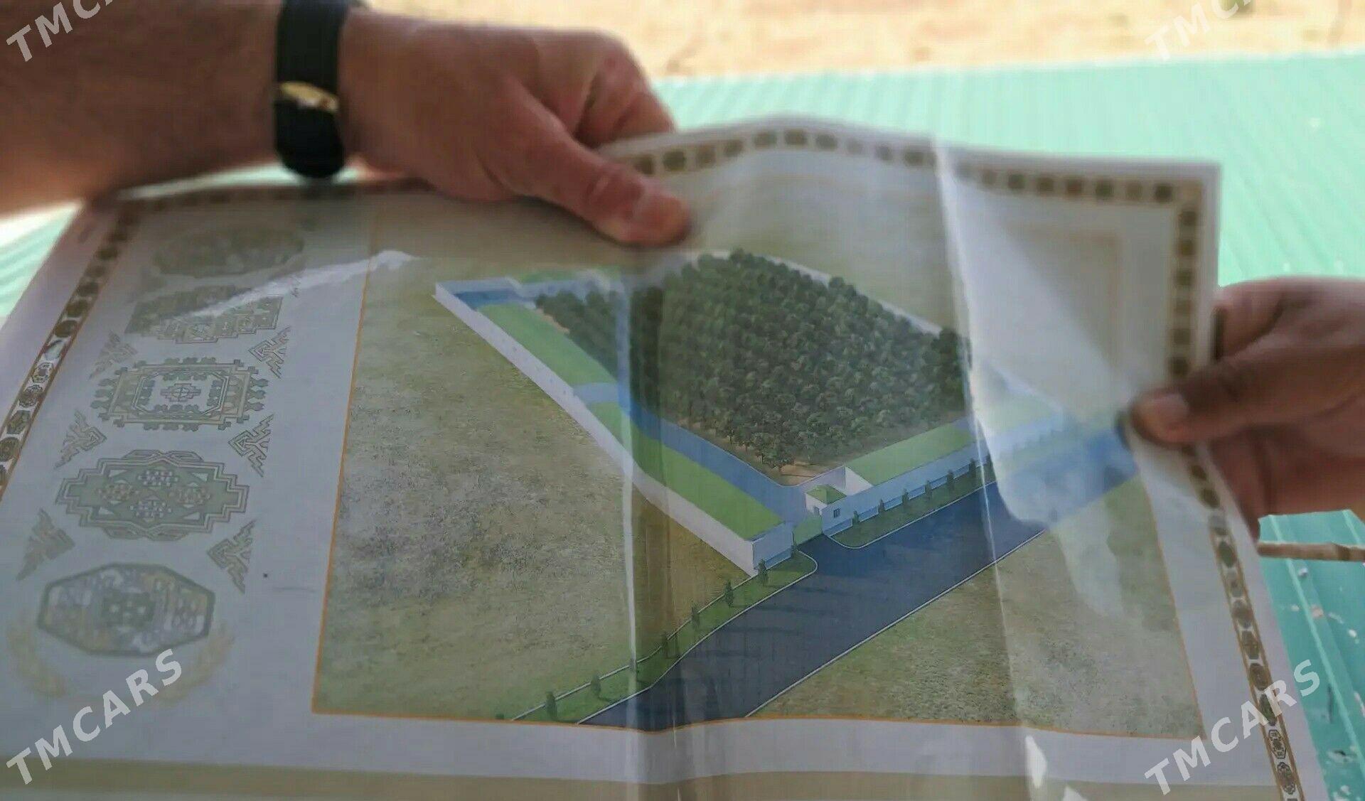 Hususy Mulk yer maldarcylyk - Ак-Бугдайский этрап - img 1