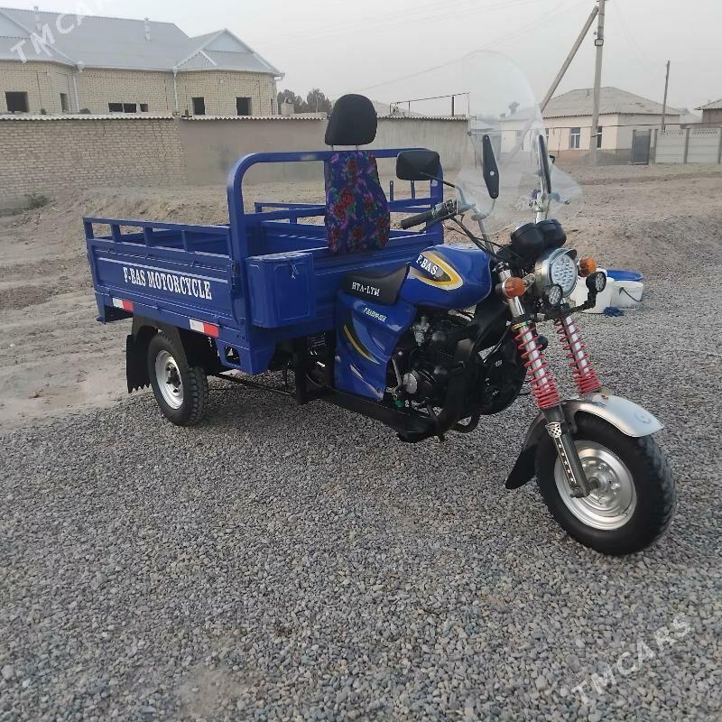 Fekon FK200-14G 2015 - 17 000 TMT - Sakarçäge - img 1