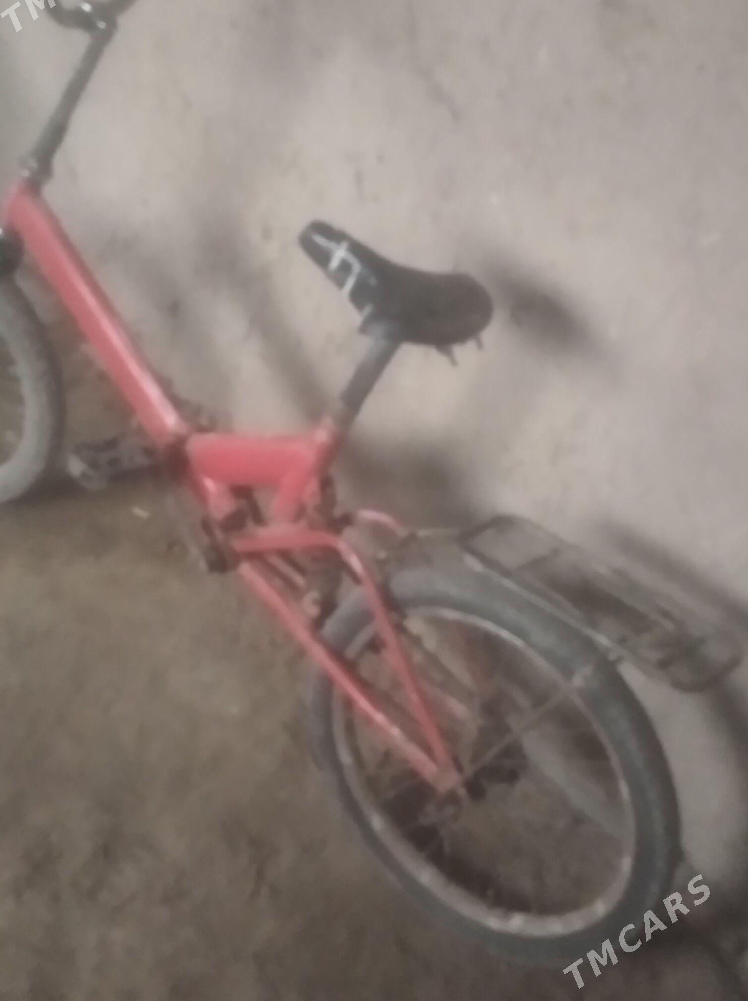 Kama welik - Köneürgenç - img 1