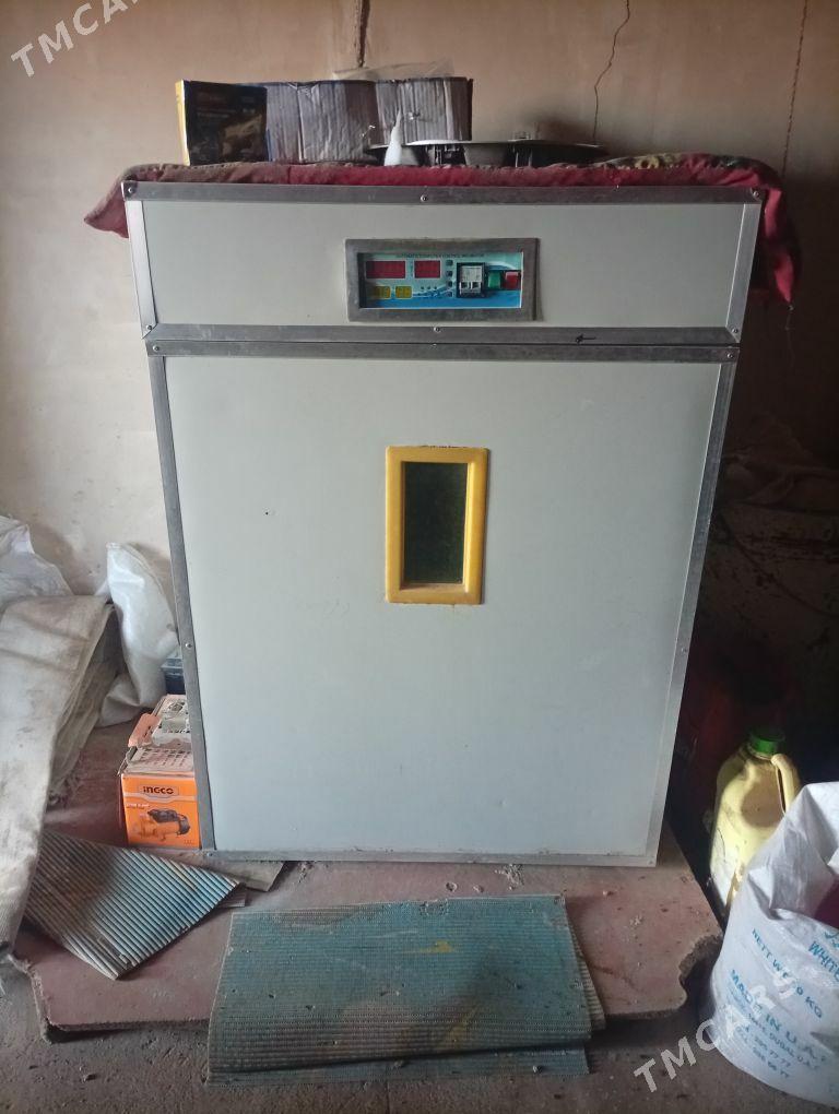 Inkobatr - Ёлётен - img 1