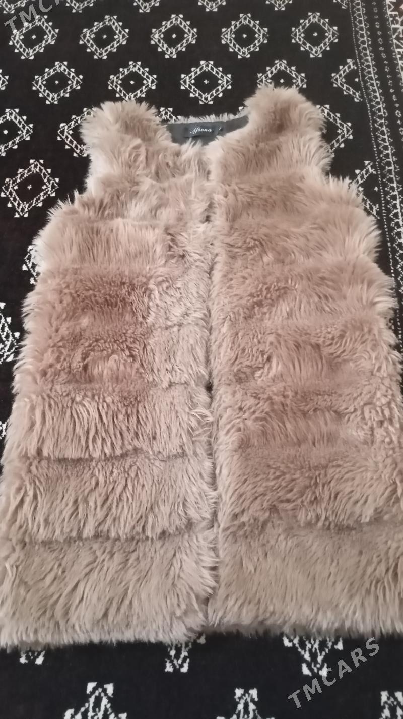 Ýeñsiz şuba - Balkanabat - img 1