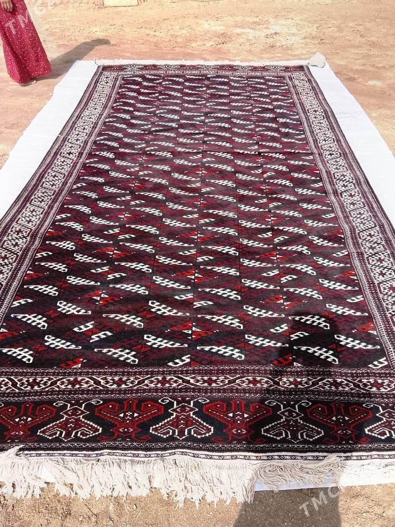 gara haly - Эсенгулы - img 1