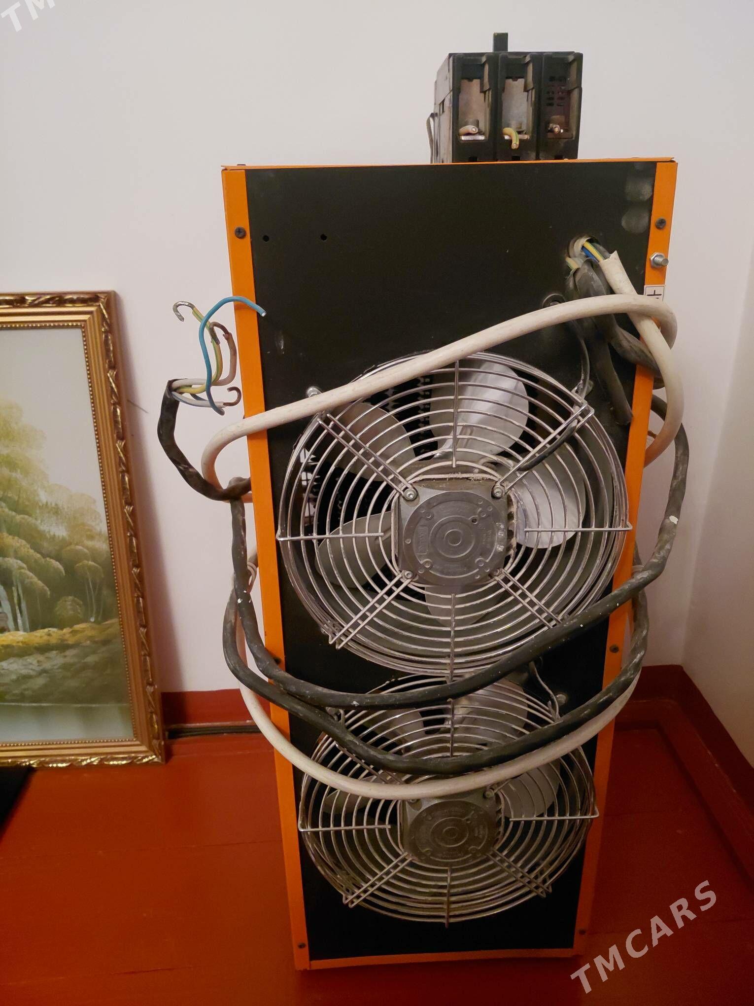 tok pec - Mary - img 1