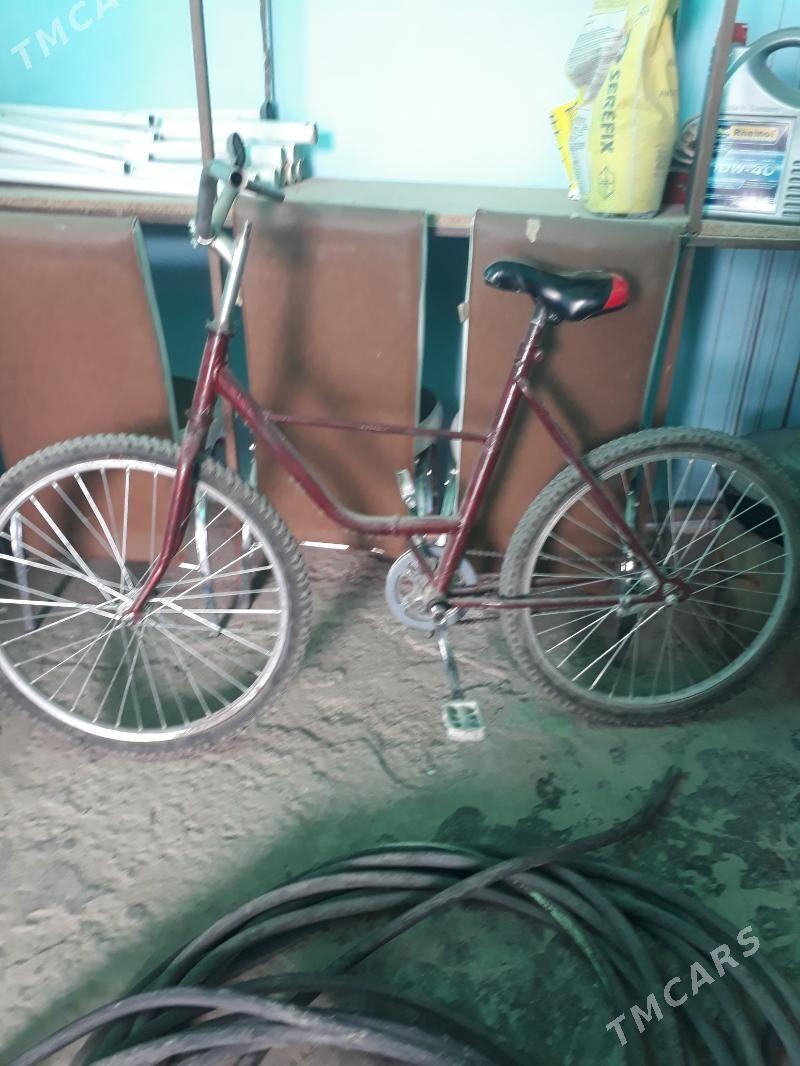 Tigir 24 lik - Бузмеин - img 1