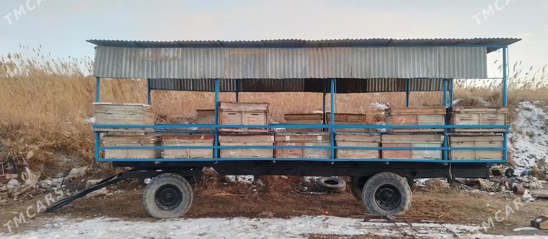 ары присер - Дянев - img 1