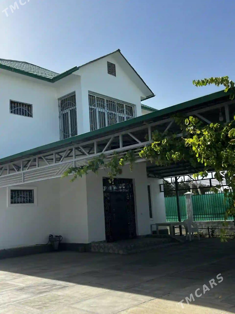 Arenda Anew kotejj - Änew - img 1