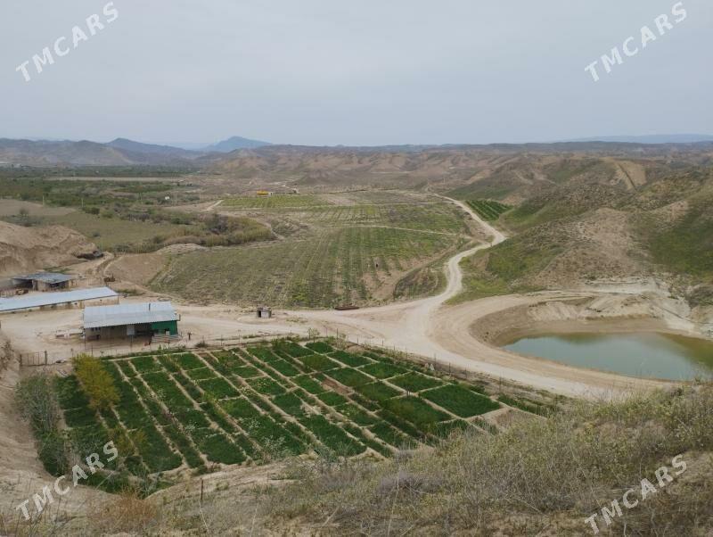 Satlyk ekin mal ýatak - Magtymguly - img 1