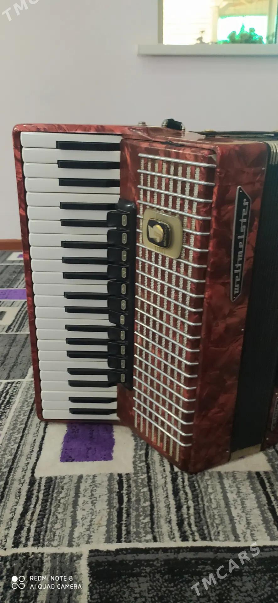 Akkordeon weltmeister - Ёлётен - img 1