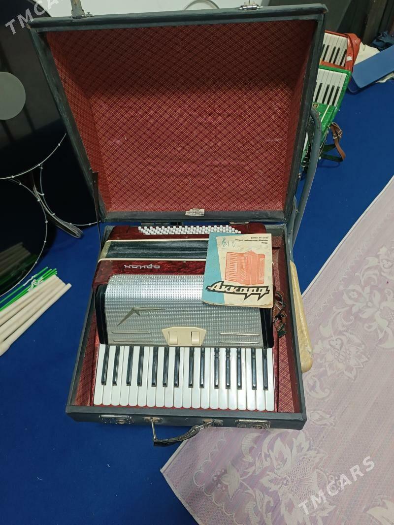 Akardion Akkordeon - Halaç - img 1