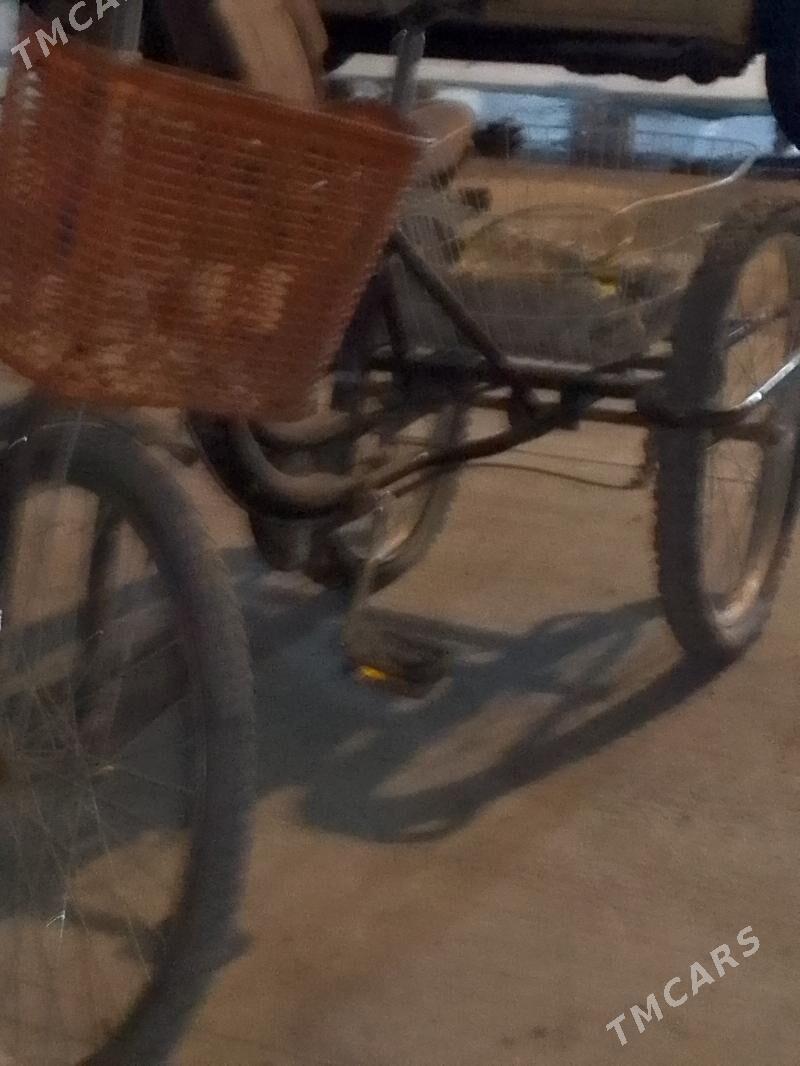 üç tigirli tigir - Ak bugdaý etraby - img 1