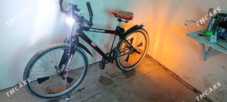 Tigir - Гороглы (Тагта) - img 1