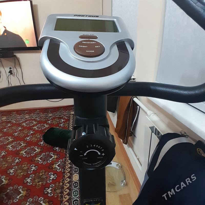 trnažor tigir - Чоганлы - img 1