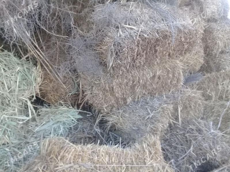 gamys bede - Бахарден - img 1