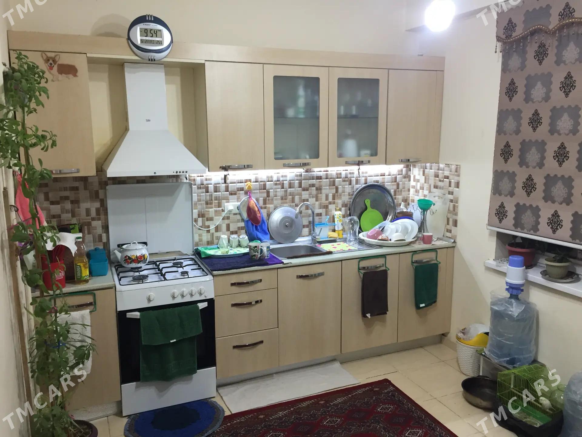 yashayysh jay tasalamda - Köşi - img 1