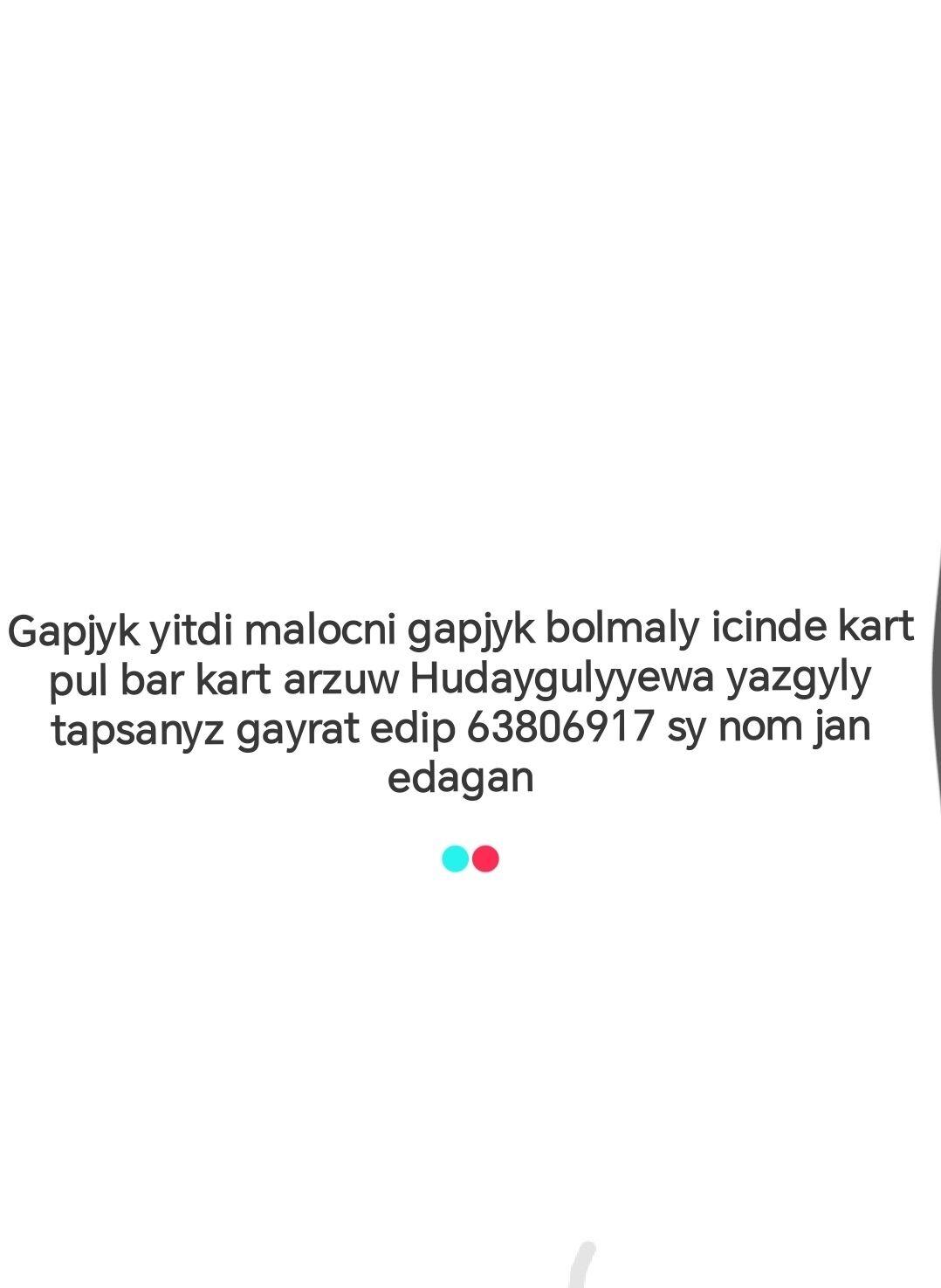Gapjyk yitdi - Balkanabat - img 1