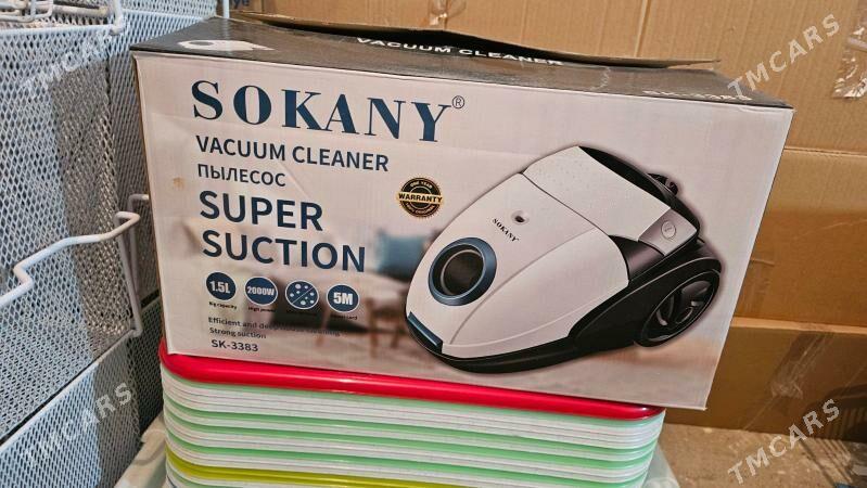 Sokany palsos - Kim raýon - img 1