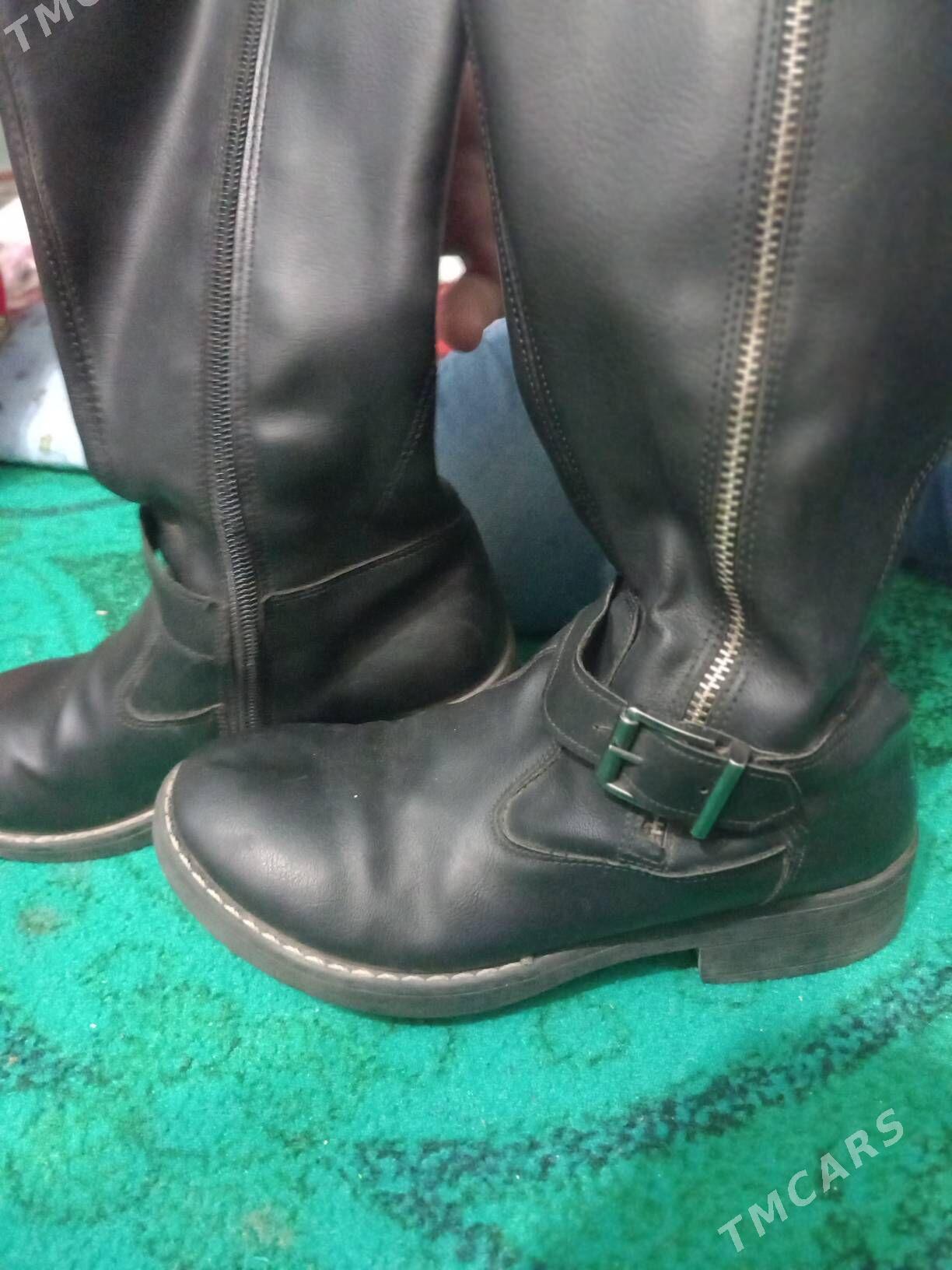 çaga ädik - Гаудан "Б" - img 1