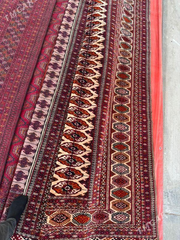 El haly 4/5 - Ak bugdaý etraby - img 1