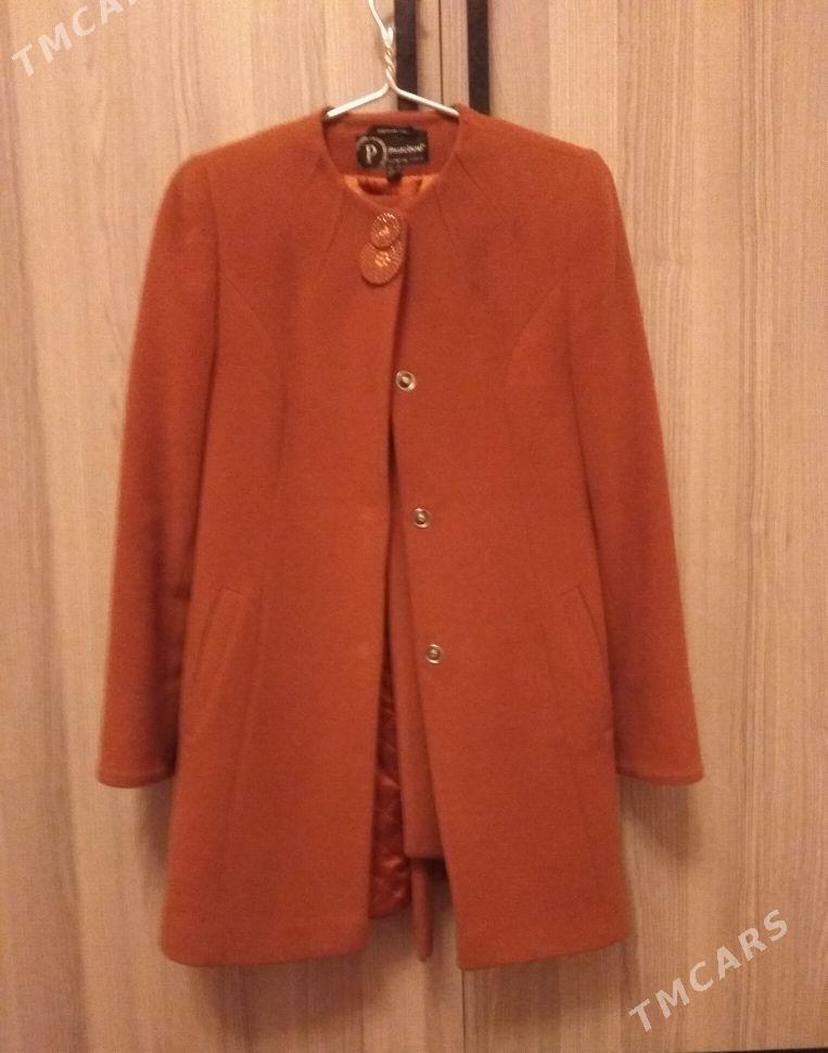 palto - Sakarçäge - img 1