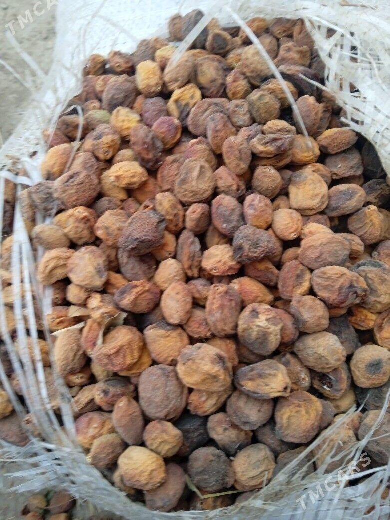 kak arik - Şabat etr. - img 1