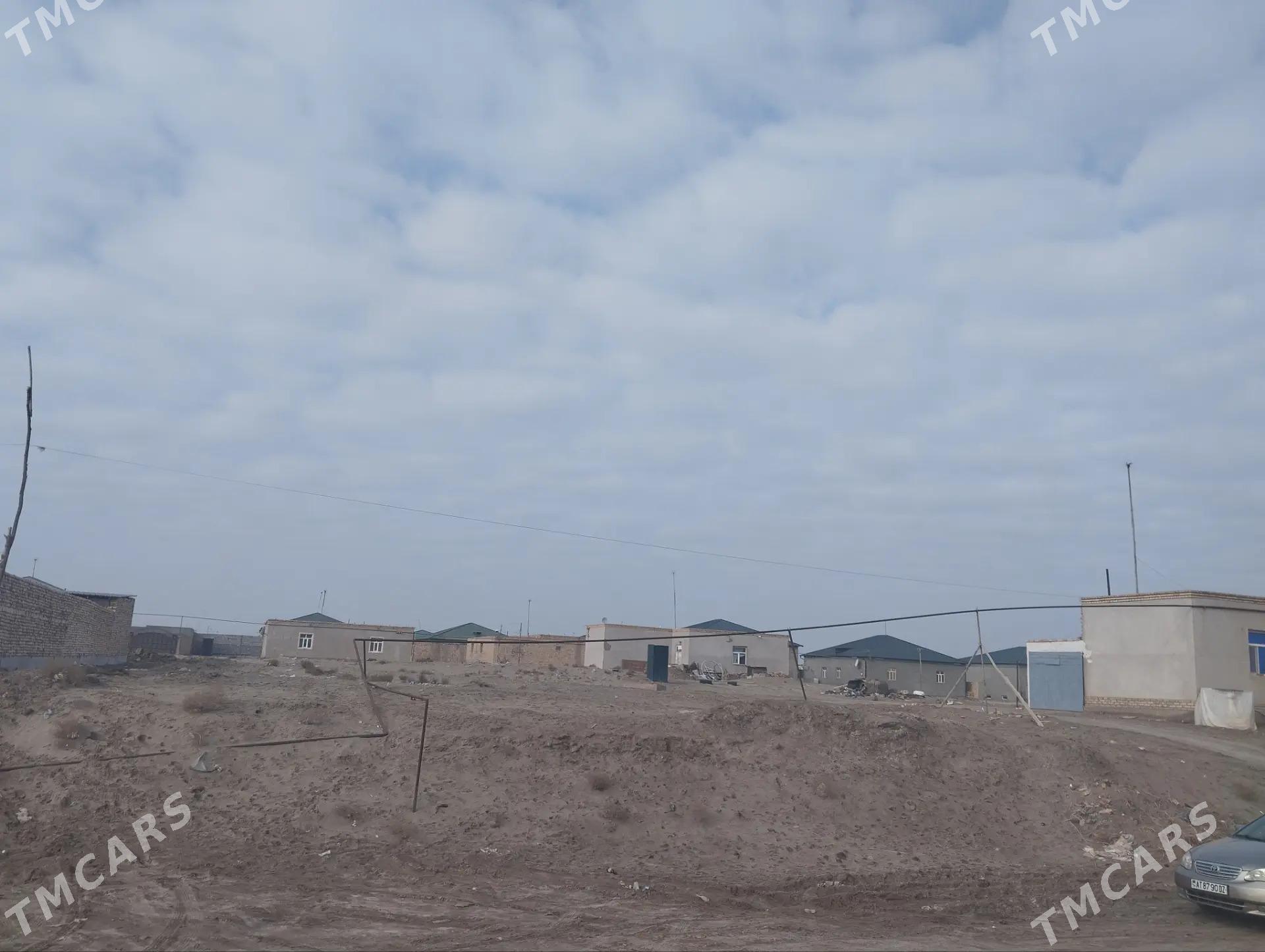 УЧАСТОК - Daşoguz - img 1