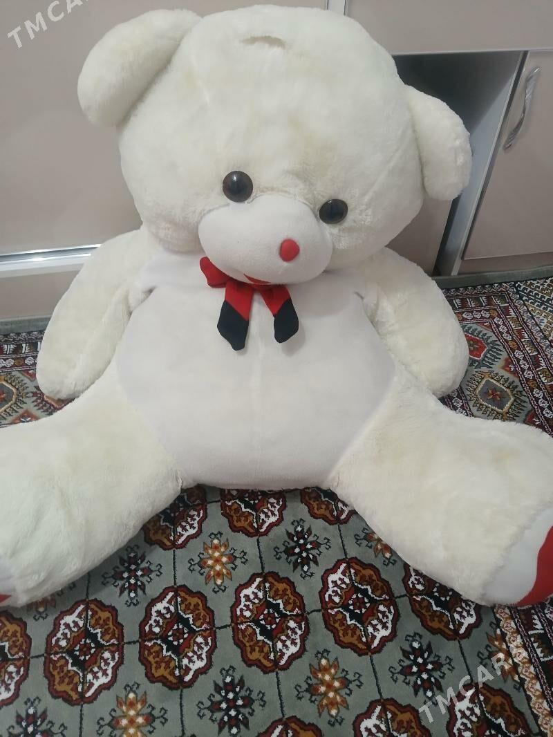 miska - Daşoguz - img 1