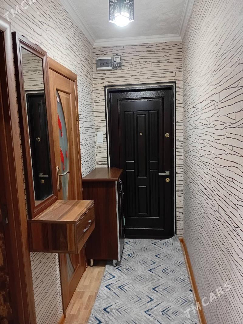 Satlyk jay - Mary - img 1