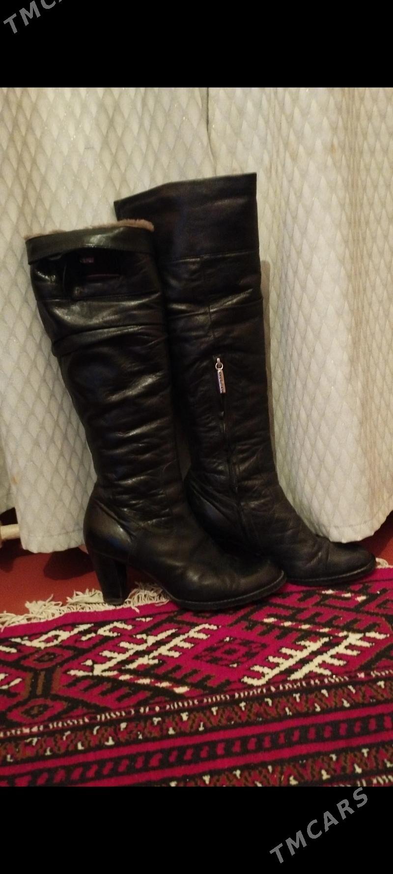 Женские сапоги - Aşgabat - img 1