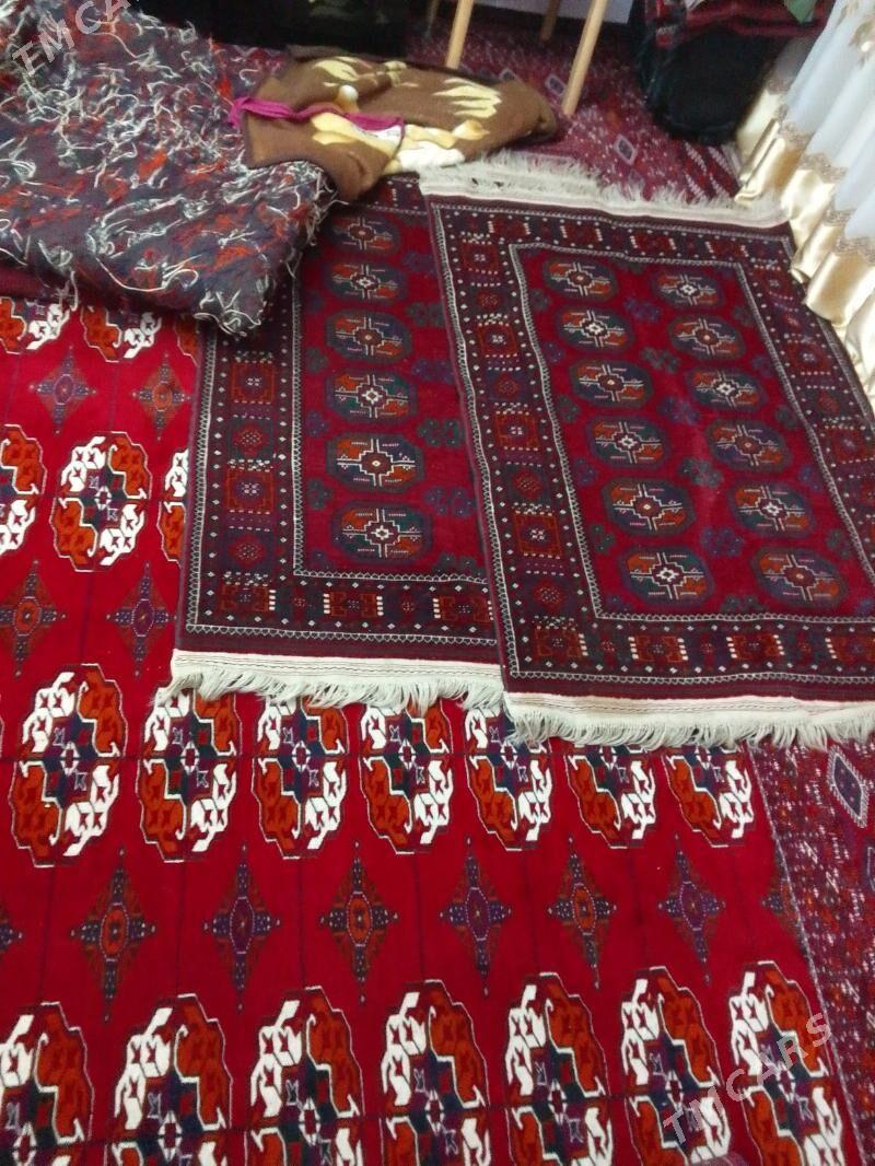 el haly - Хитровка - img 1