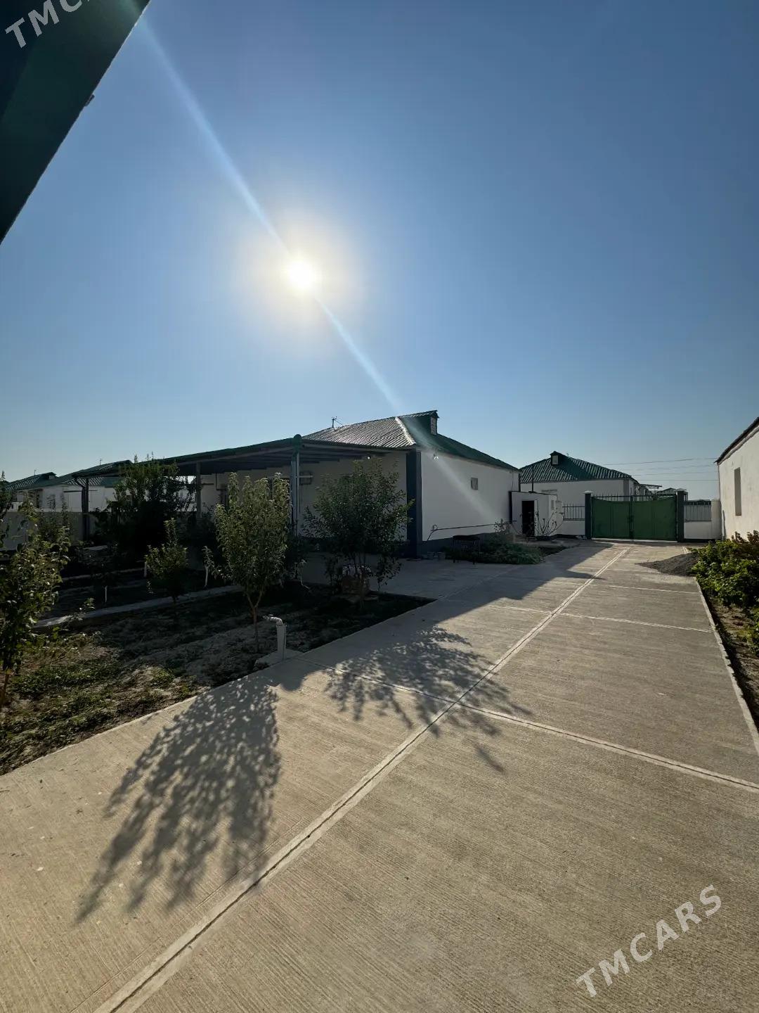 Gokdepe Enkewede oba - Гёкдепе - img 1