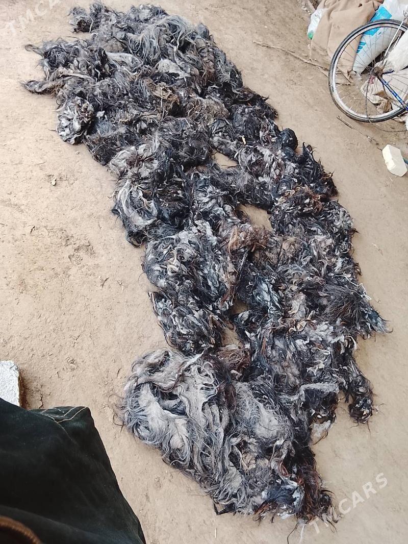 çöpir - Рухубелентский этрап - img 1