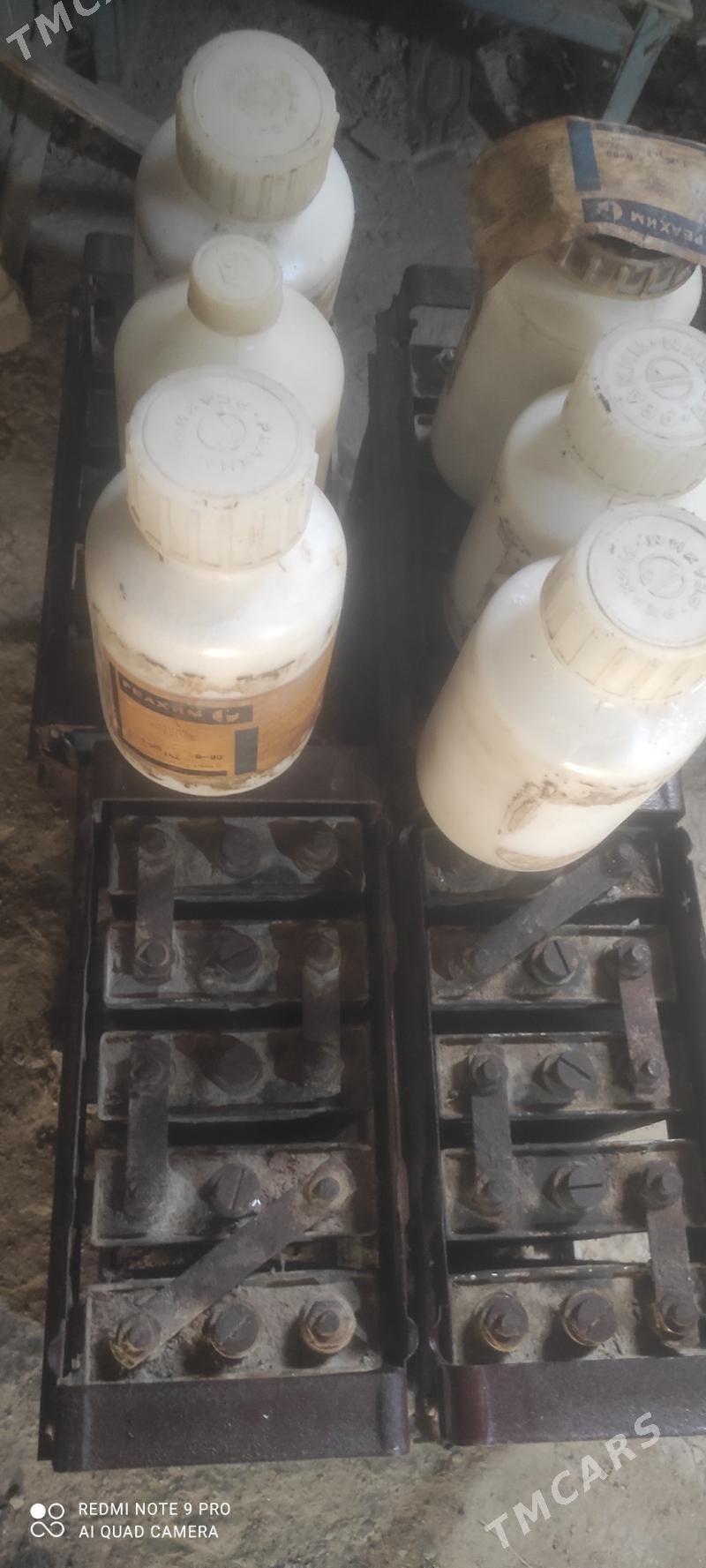 şēlçnyý akkymylýator - Mary - img 1