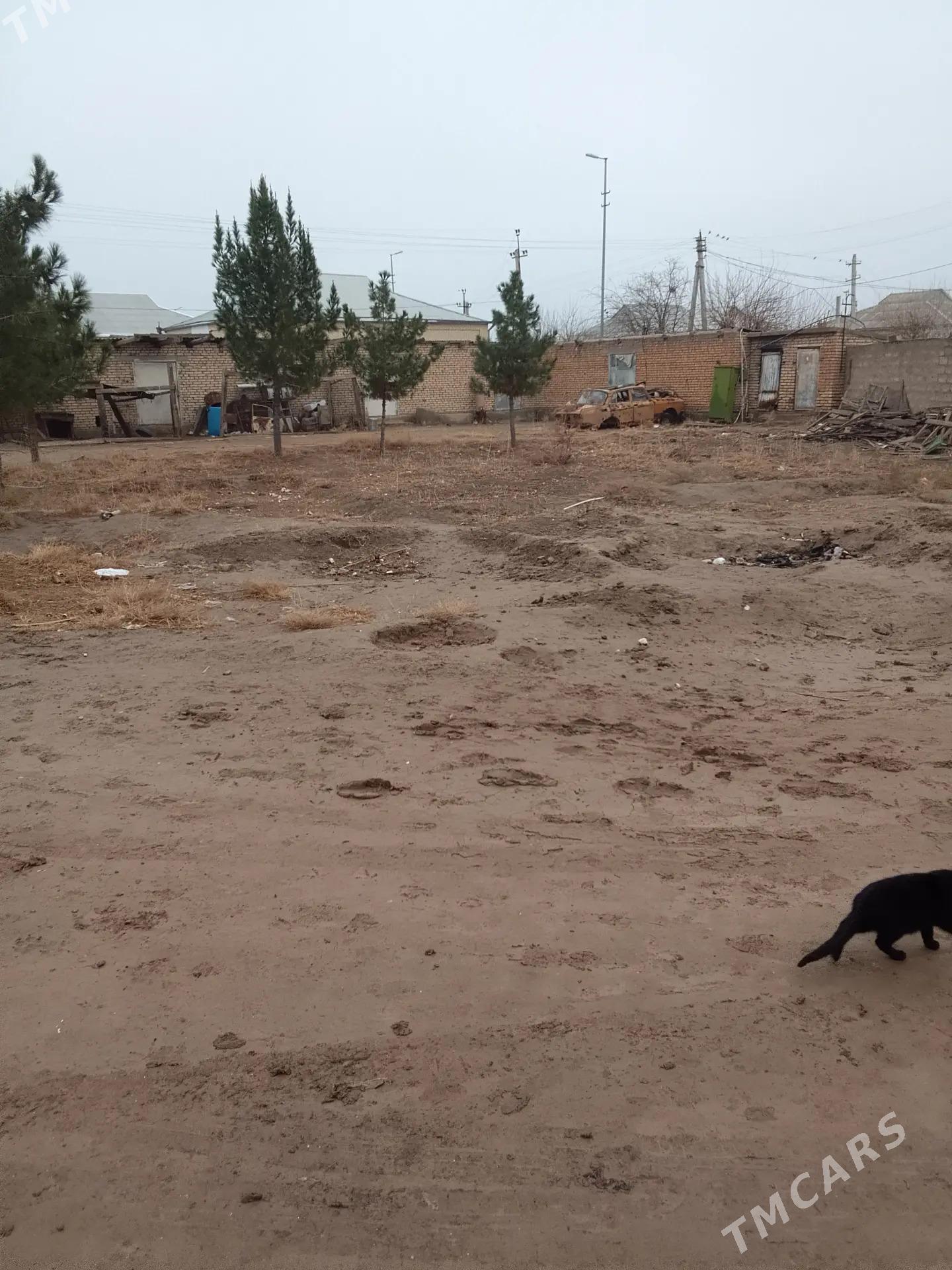 mellek jay - Mary - img 1